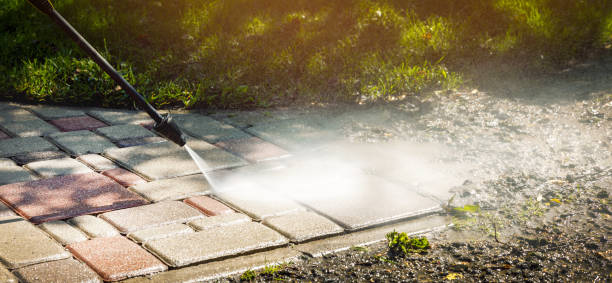 Solar Panel Cleaning in Hasson Heights, PA